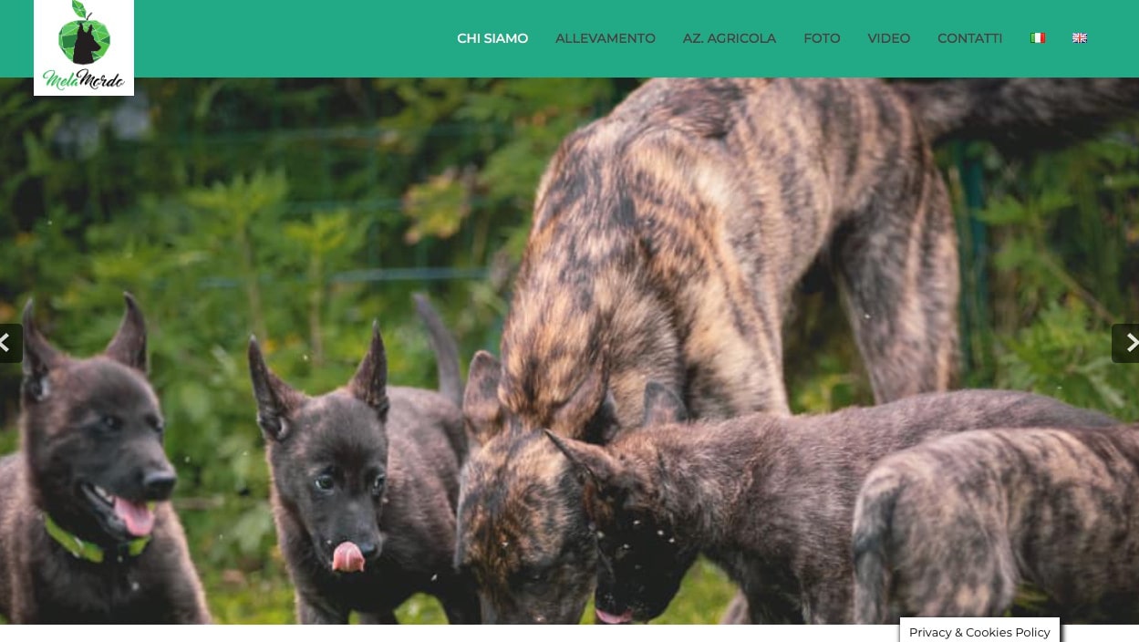 Gestionale Web